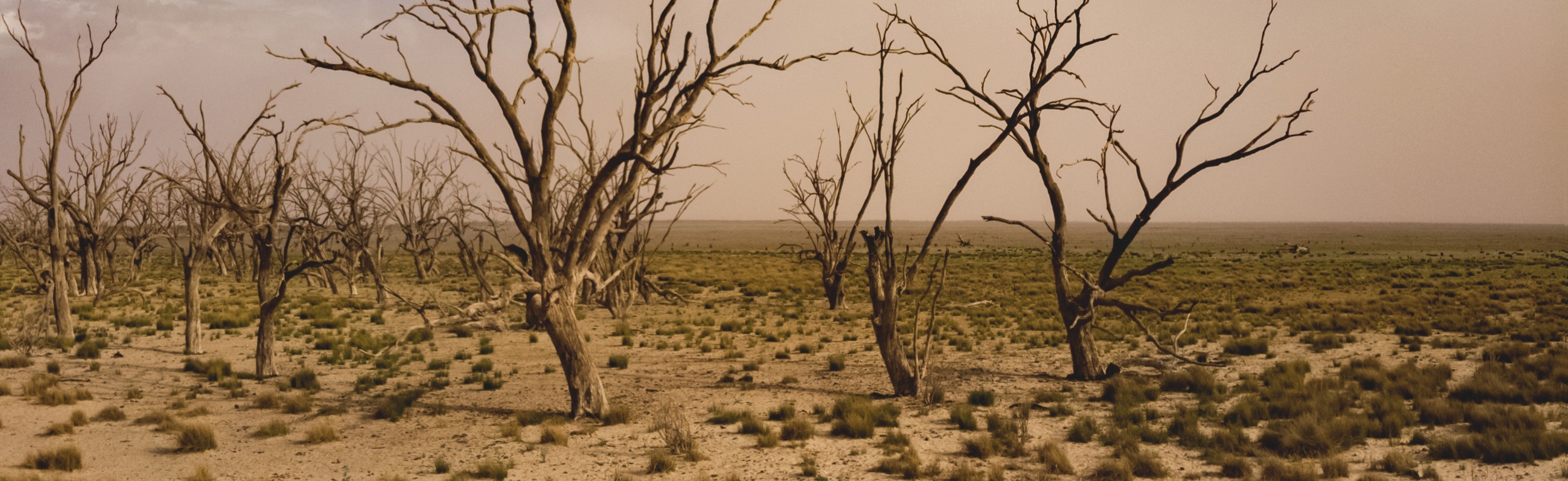 Image of australian_terrain.jpg