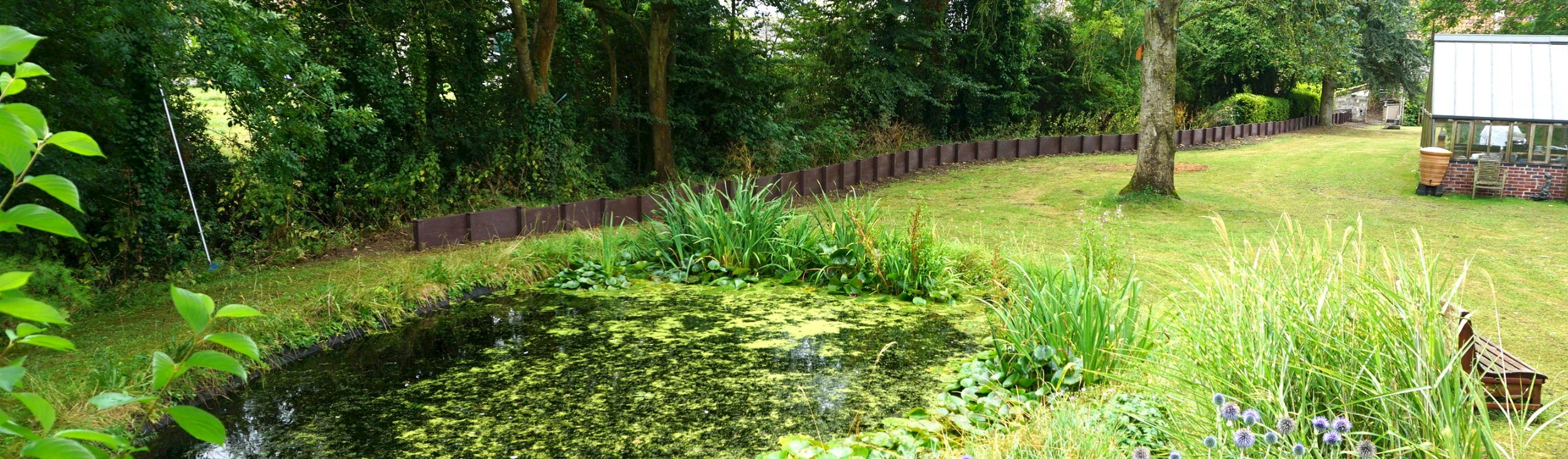 Image of day_17_6_wall.jpg