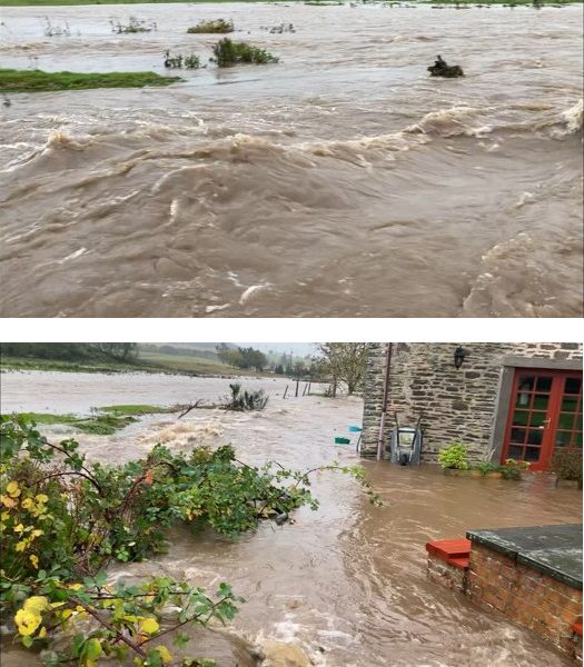 Image of bridgefoot_3.jpg