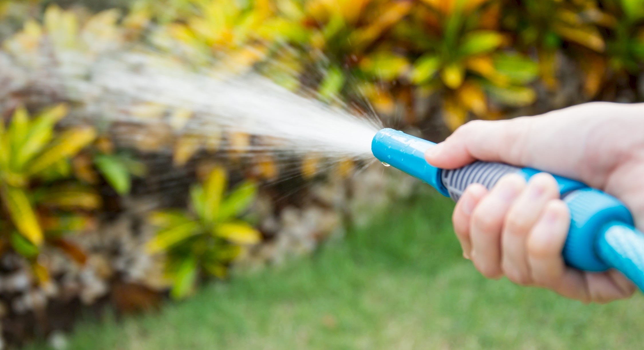 Image of rainwater_harveting_tanks_garden_watering.jpg