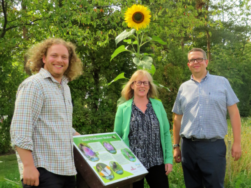 Global environmental protection specialist creates wildflower meadow in collaboration