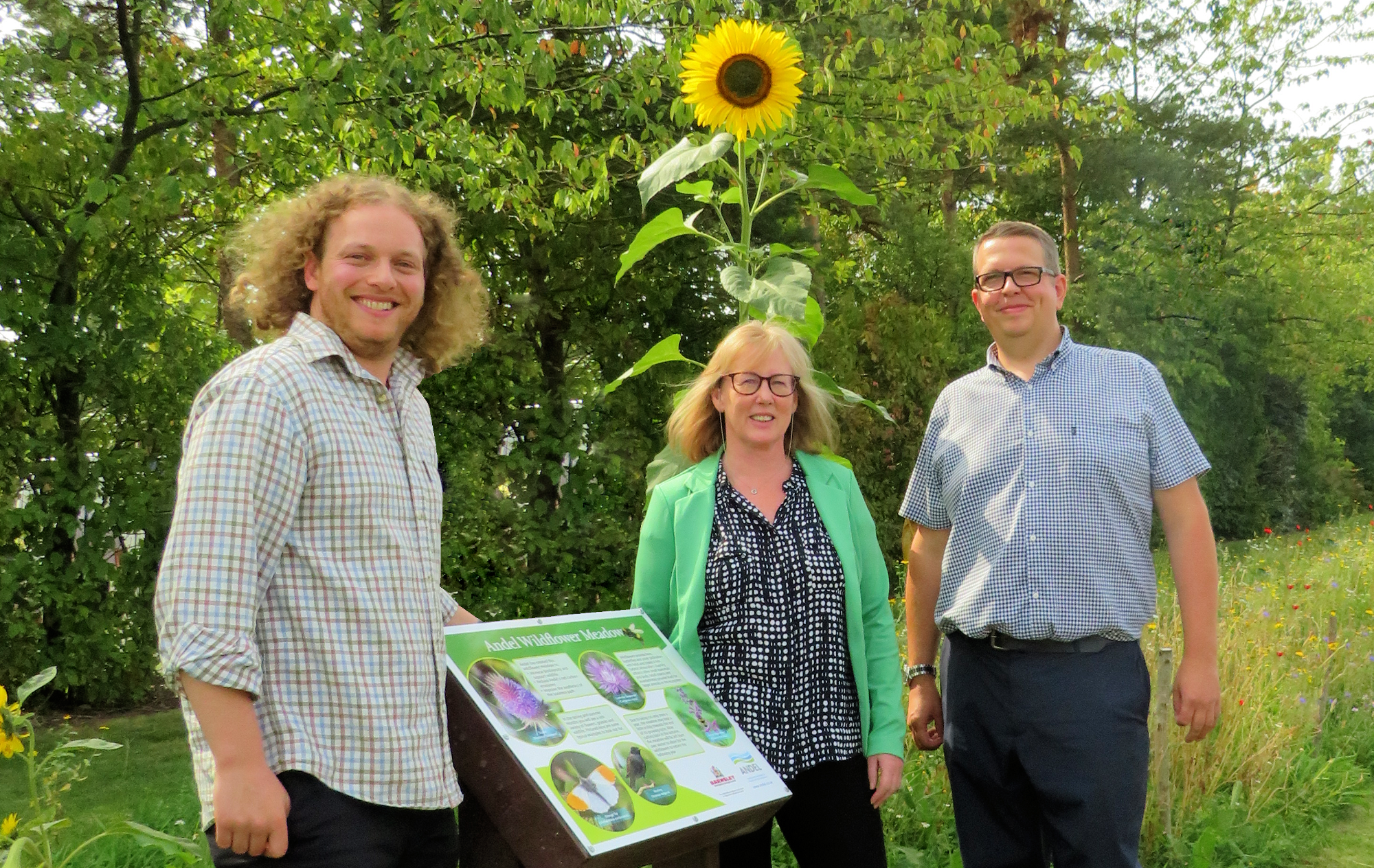 Image of wildflower_meadow_opening2.png